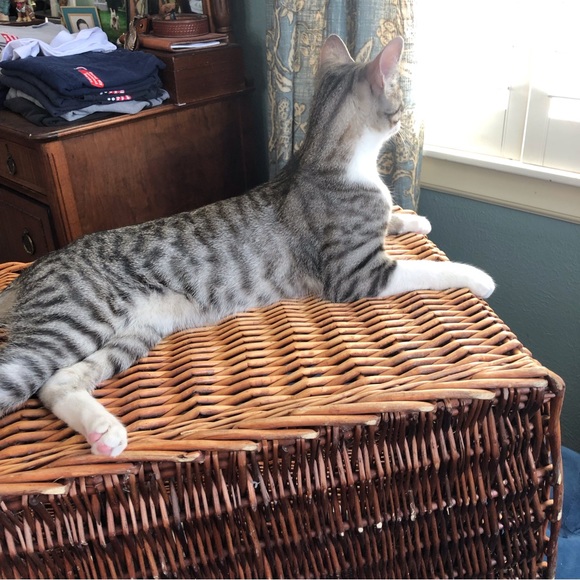 There is a better world ahead! - Picture 6 of 10